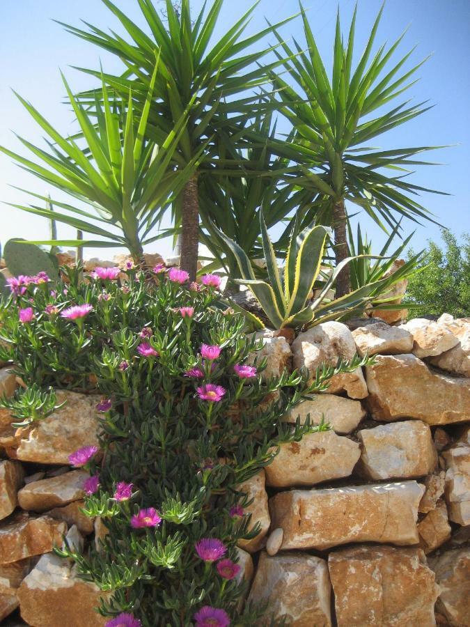 Masseria Due Torri Monopoli Dış mekan fotoğraf